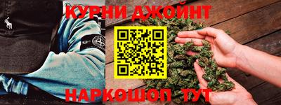шишки Изобильный