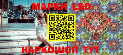 шишки Изобильный