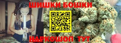шишки Изобильный