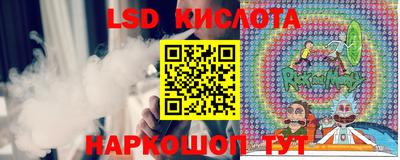 шишки Изобильный