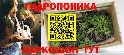 a pvp Новодвинск