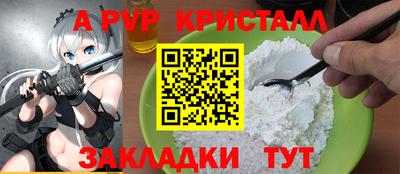 шишки Изобильный