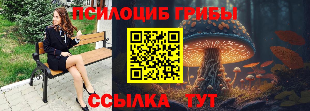 Галлюциногенные грибы Psilocybine cubensis  Вход с VPN  Бирск 